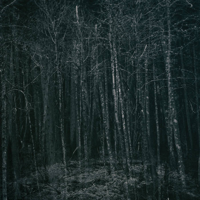 Book III: Sound of the End Times