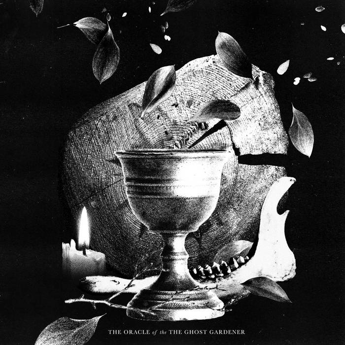 The Oracle of The Ghost Gardener