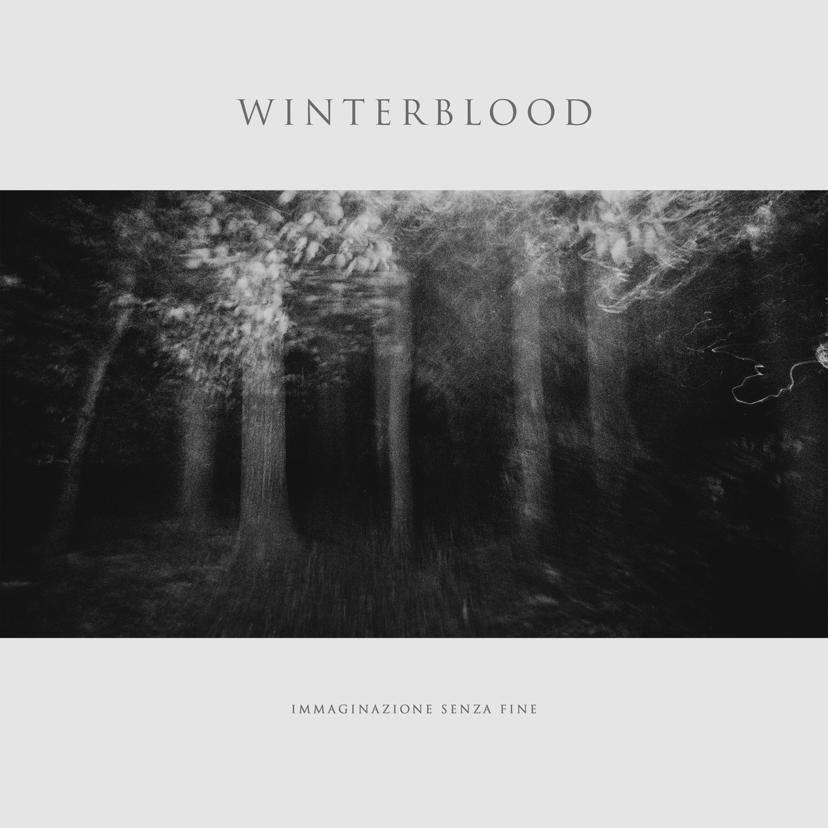 Immaginazione Senza Fine