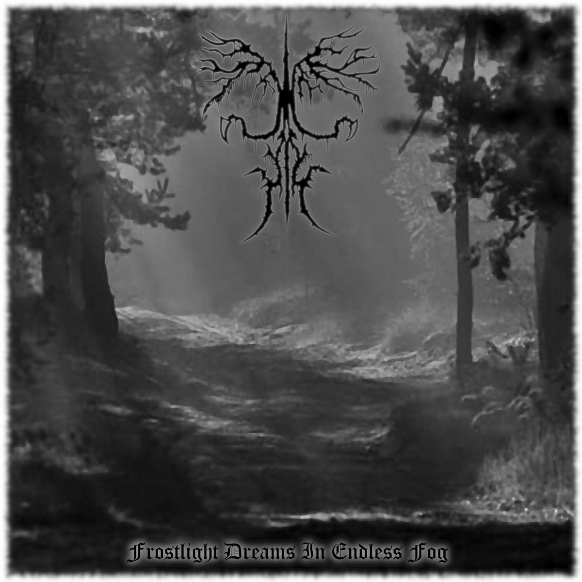 Frostlight Dreams In Endless Fog