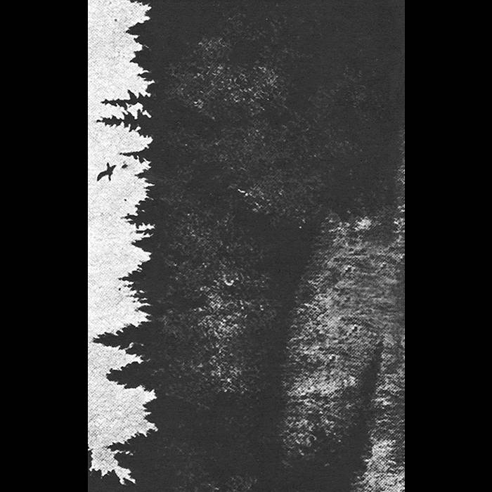 Vandringen I (Skoglandskap)