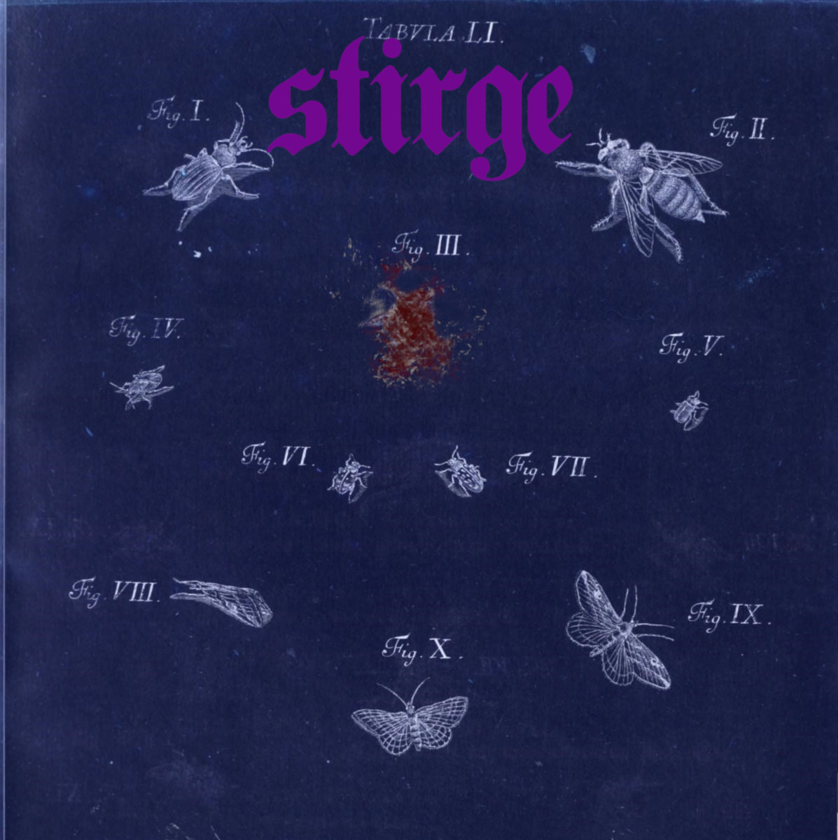 Stirge