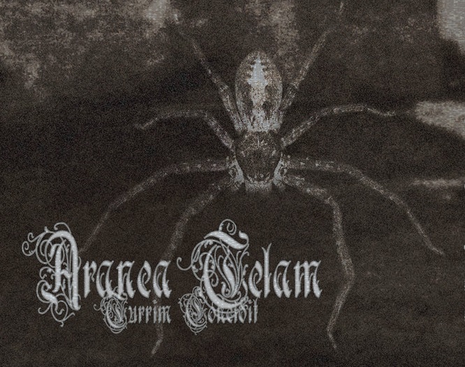 Aranea Telam