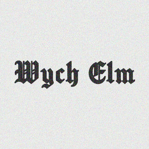 Wych Elm