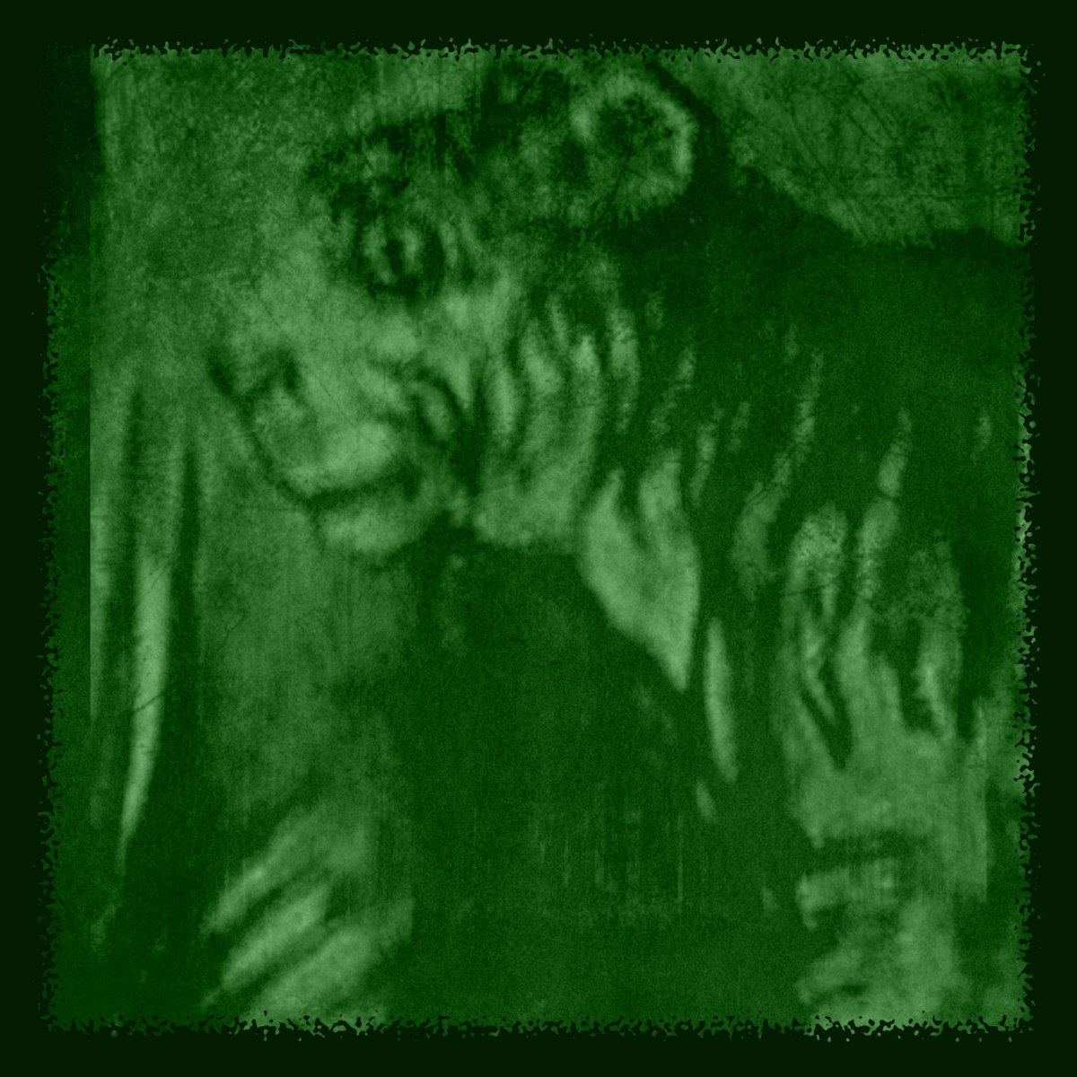 Tyger of the Woods