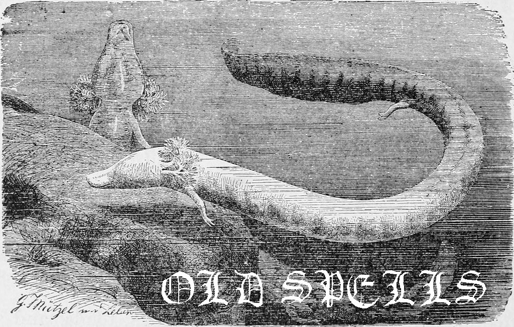Old Spells